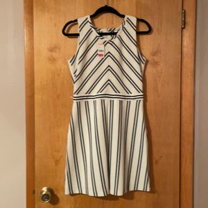 Dress with silk lining NWT